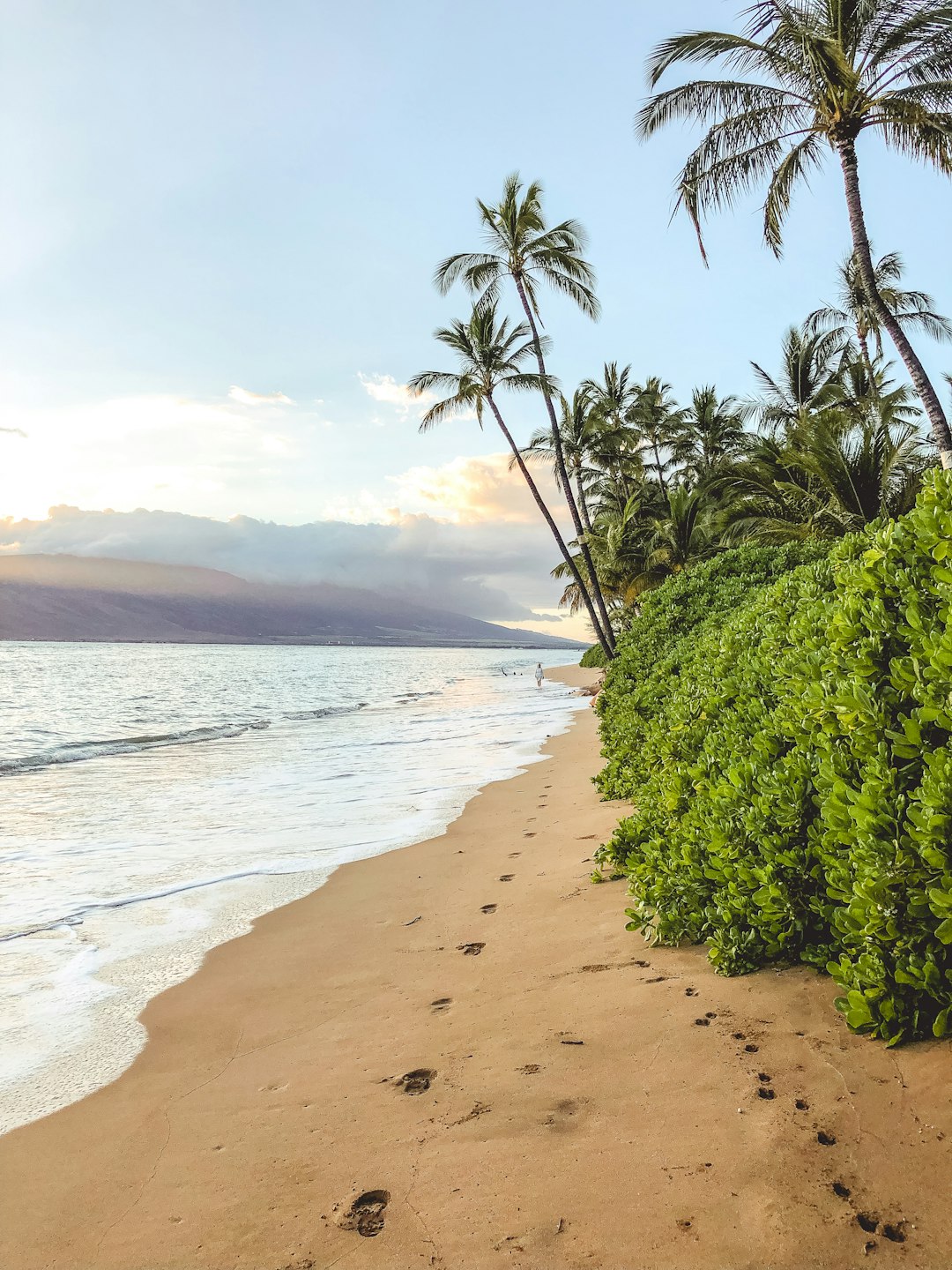 Maui Beach Paradise scenic beach landscape with turquoise water and palm trees