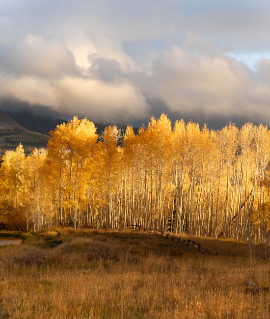 Aspen Mountain Retreats mountain landscape, peaceful retreat, nature scenery, alpine forest, tranquil lakes