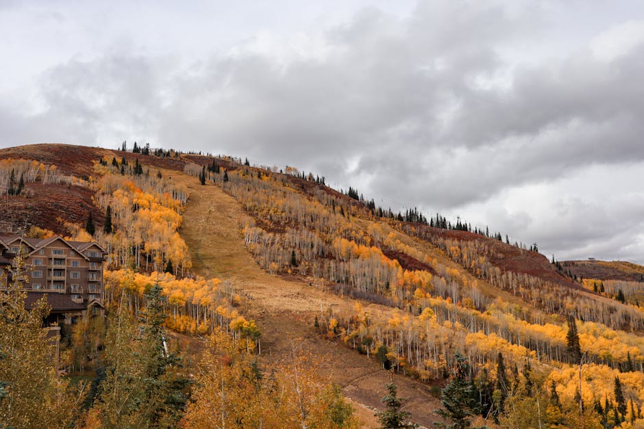 Aspen Mountain Retreats mountain landscape, nature, outdoor retreat, scenic views, wilderness
