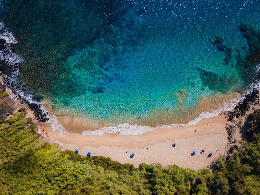 Tropical beach, ocean, relaxation, vacation, Hawaii