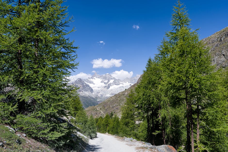 Swiss Alps Mountain Retreats Mont Blanc