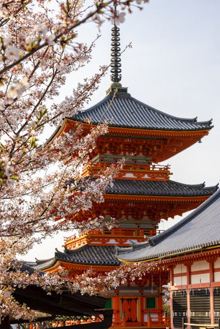 Discover The Timeless Charm Kyoto temples gardens traditional architecture