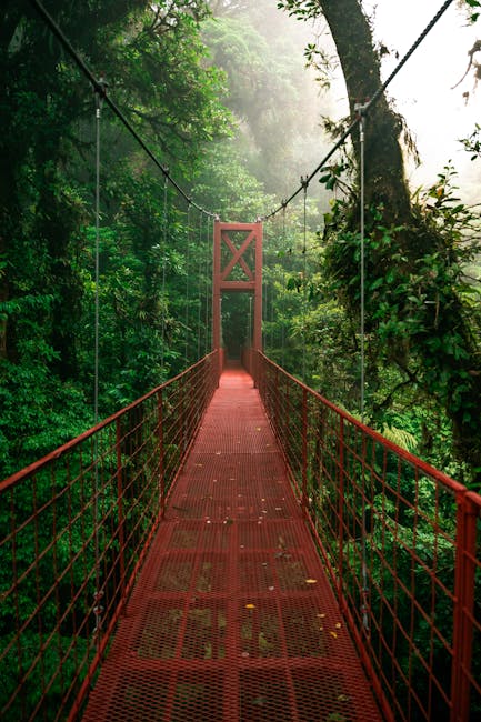 Costa Rica Wellness Retreats Monteverde Cloud Forest Reserve